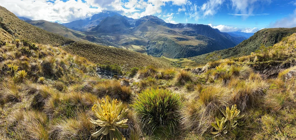 Los Nevados National Park Colombia