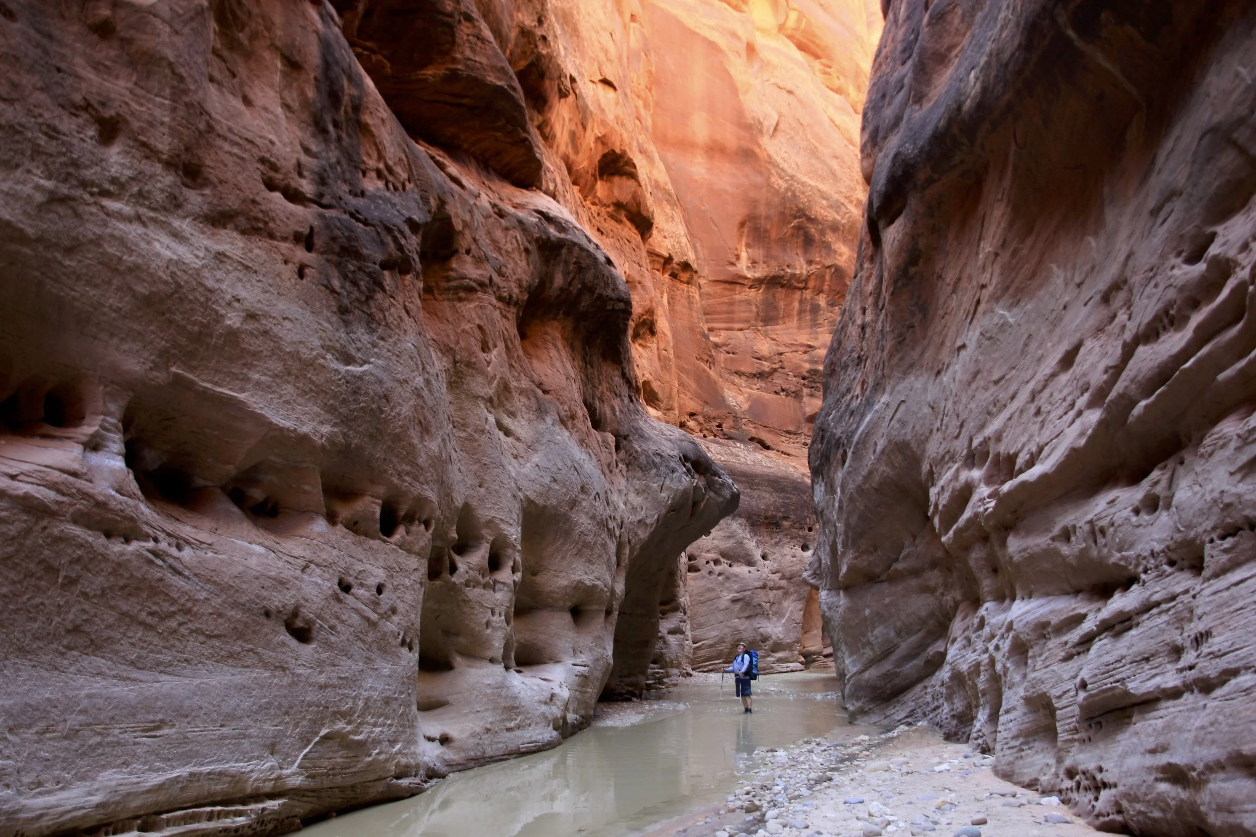 Paria River Wilderness - USA, Utah